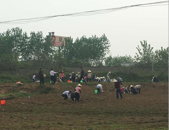 �������ǲ���(�й���)�ٷ���վ