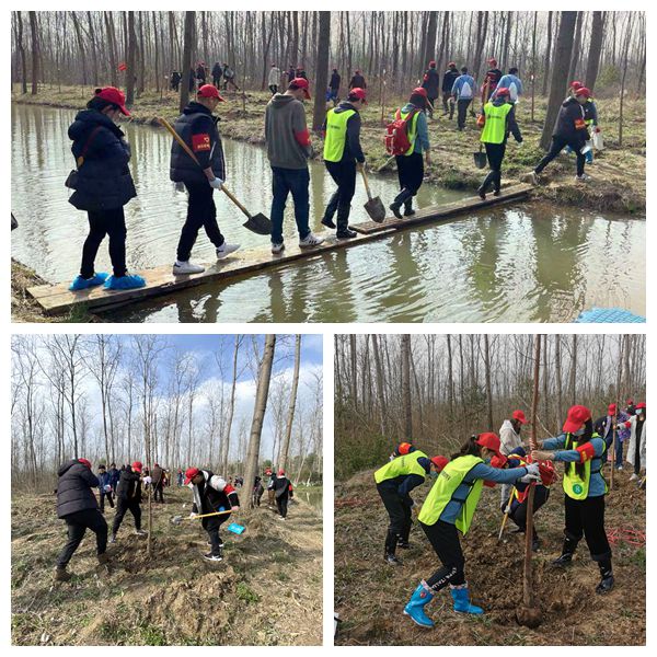 �������ǲ���(�й���)�ٷ���վ